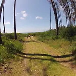 Furadouro Surf Camp Ovar